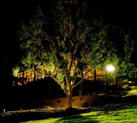 Oceanview Estate Vineyard Cottages - Tourism Brisbane 4