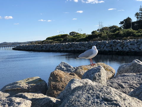 Albany Foreshore Guest House - Tourism Brisbane 3