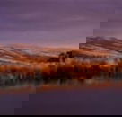 Wombat Hills Cottages - Tourism Brisbane