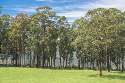 The Jackson Ranch - Tourism Brisbane 4