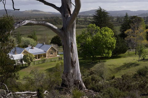Brockley Estate - Tourism Brisbane 6