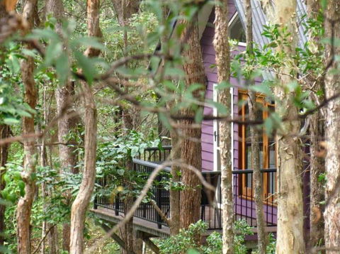 Amytis Gardens Retreat & Day Spa - Tourism Brisbane 1