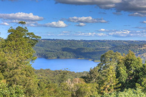 Montville Misty View Cottages - Tourism Brisbane 1