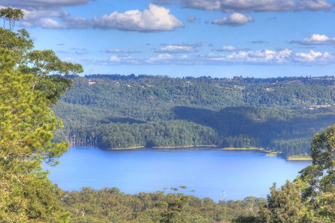 Montville Misty View Cottages - Tourism Brisbane 3