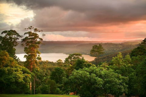 Montville Misty View Cottages - Tourism Brisbane 0