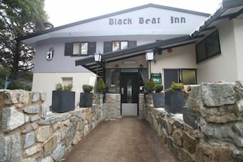Black Bear Inn - Brisbane Tourism 1