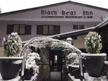 Black Bear Inn - Brisbane Tourism 0