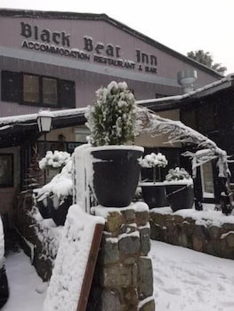 Black Bear Inn - Brisbane Tourism 2