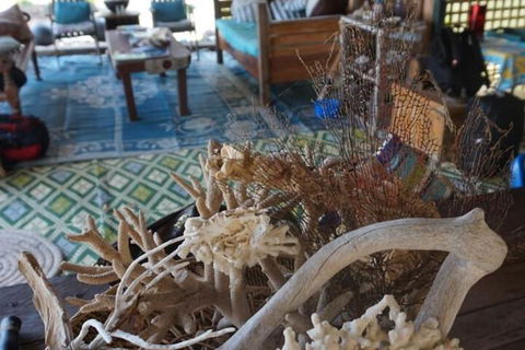 Bremer Island Banubanu Beach Retreat - Tourism Brisbane 5