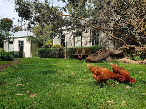 Clonmara Country House & Cottages - Tourism Brisbane 1