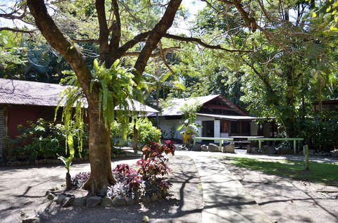 PKs Jungle Village - Hostel - Brisbane 4u 5