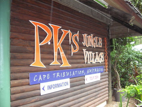 PKs Jungle Village - Hostel - Brisbane 4u 0