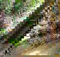 Rainforest Hideaway - Tourism Brisbane