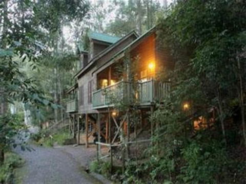 Barrington Wilderness Cedar Lodge Accommodation - Tourism Brisbane 2