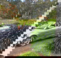 Valley Farm Vineyard Cottages - Tourism Brisbane
