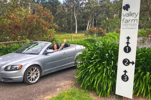 Valley Farm Vineyard Cottages - Tourism Brisbane 0