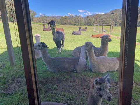 Valley Farm Vineyard Cottages - Tourism Brisbane 2