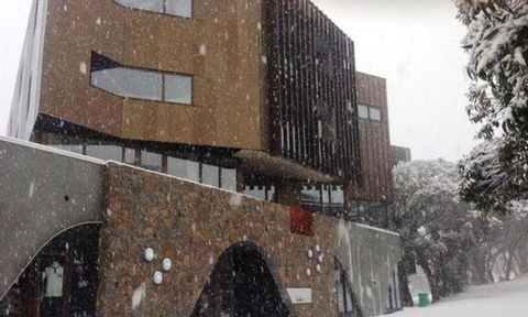 Buller Central - Tourism Brisbane 2