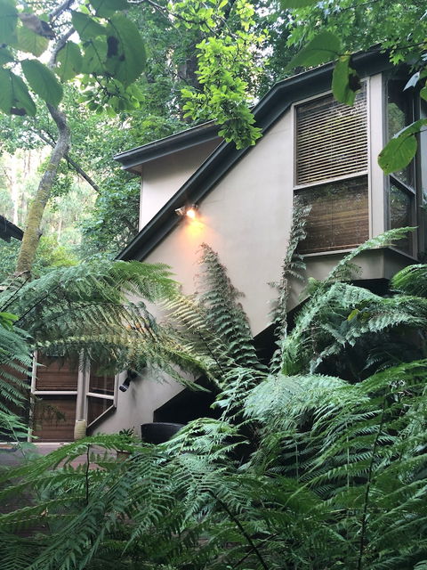 Linden Gardens Rainforest Retreat - Brisbane Tourism 2