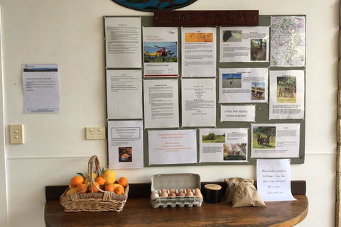 Alstonville Country Cottages - Tourism Brisbane 5