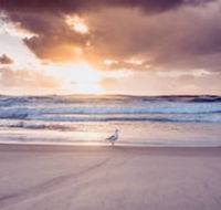 Blue Waters Motel - Tourism Brisbane