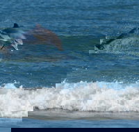 Summerhills Retreat Byron Bay - Brisbane 4u
