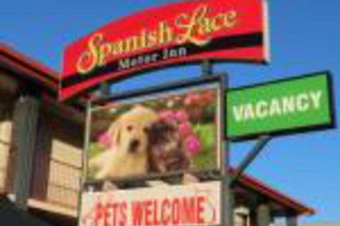 Spanish Lace Motor Inn - Tourism Brisbane 0