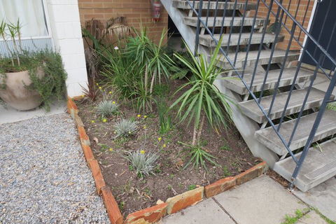 Norfolk Motor Inn - Tourism Brisbane 7