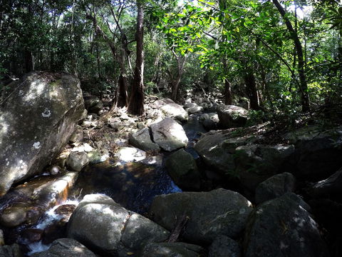 Mungumby Lodge - Cooktown - Brisbane Tourism 2