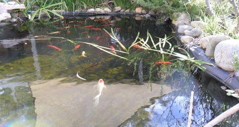 Settlement Motor Inn, Deniliquin - Tourism Brisbane 3