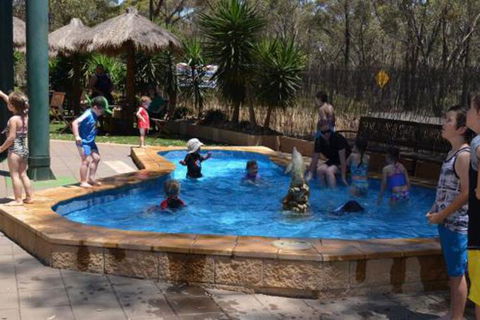 Bendigo Bush Cabins - Brisbane Tourism 2