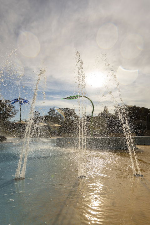 Alivio Tourist Park Canberra - Tourism Brisbane 5