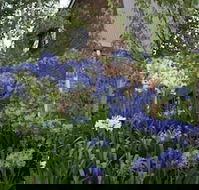 Yallambee - Tourism Brisbane