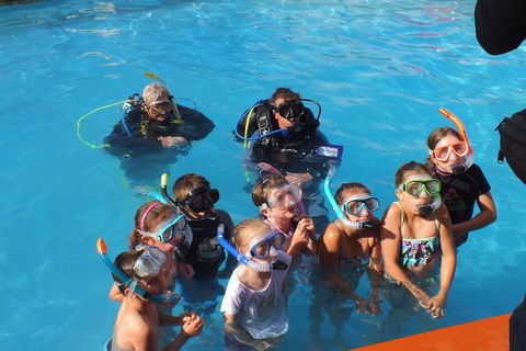 Warrnambool Motel And Holiday Park - Tourism Brisbane 0