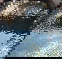 Town  Country Motel - Tourism Brisbane