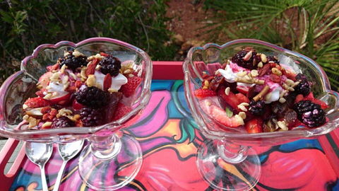 Natures Paradise - Tourism Brisbane 2