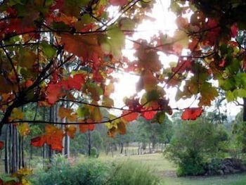 Elfin Hill Country Accommodation - Tourism Brisbane 0