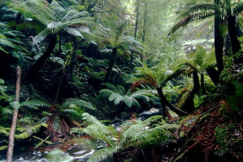 Corinna Wilderness Experience - Brisbane Tourism 2