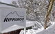 Ripparoo Ski Lodge - thumb 1