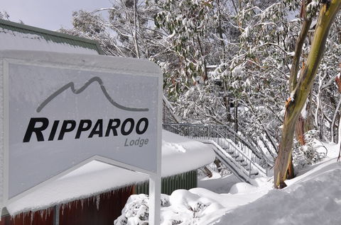 Ripparoo Ski Lodge - Brisbane Tourism 1