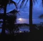 Sejala Beach Huts - Tourism Brisbane