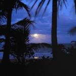 Sejala Beach Huts - Brisbane Tourism 0