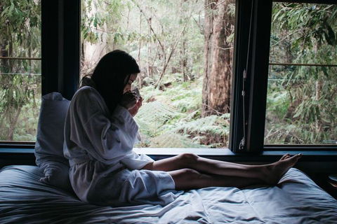 Woodlands Rainforest Retreat - Tourism Brisbane 5