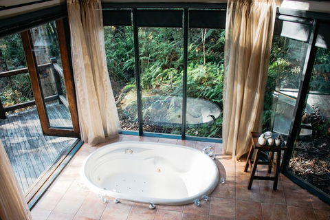 Woodlands Rainforest Retreat - Tourism Brisbane 7