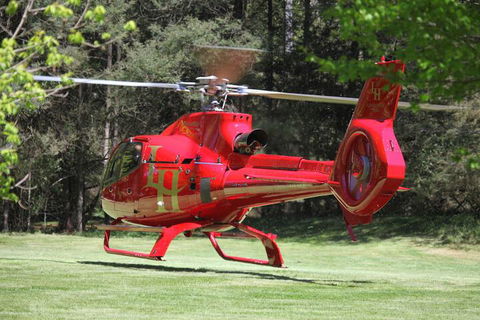 Woodlands Rainforest Retreat - Tourism Brisbane 2