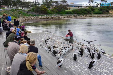 Edgewater Escape - Tourism Brisbane 3