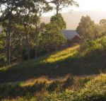 Bundle Hill Cottages - Brisbane Tourism