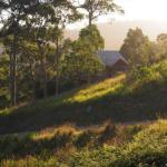 Bundle Hill Cottages - Brisbane Tourism 0