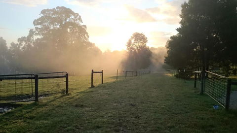 Carinya Park - Tourism Brisbane 2