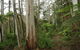 Carinya Park - thumb 1